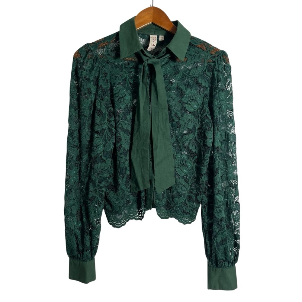 DOLAN x ANTHROPOLOGIE Sheer Lace Blouse - Picture 4 of 13